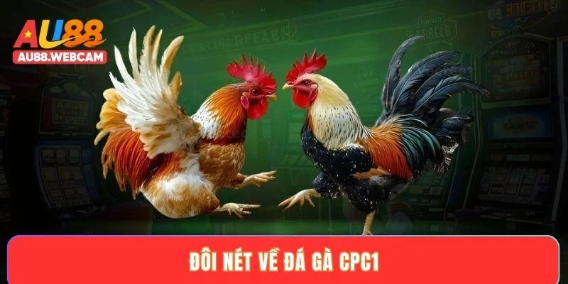 Đôi nét về đá gà CPC1
