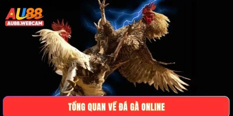 Tổng quan về đá gà online