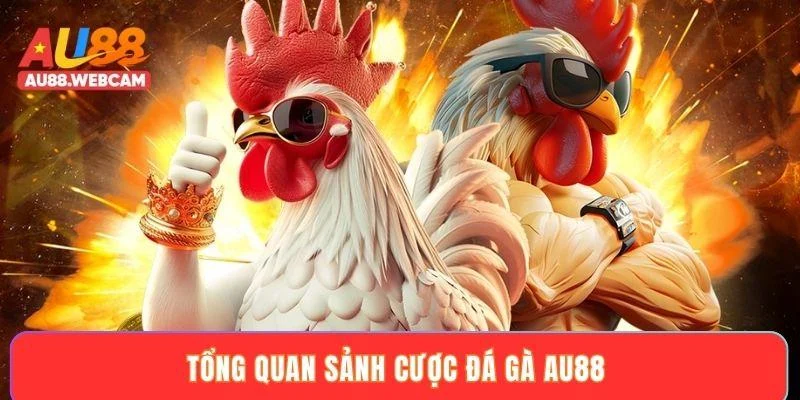 Tổng quan sảnh cược đá gà AU88