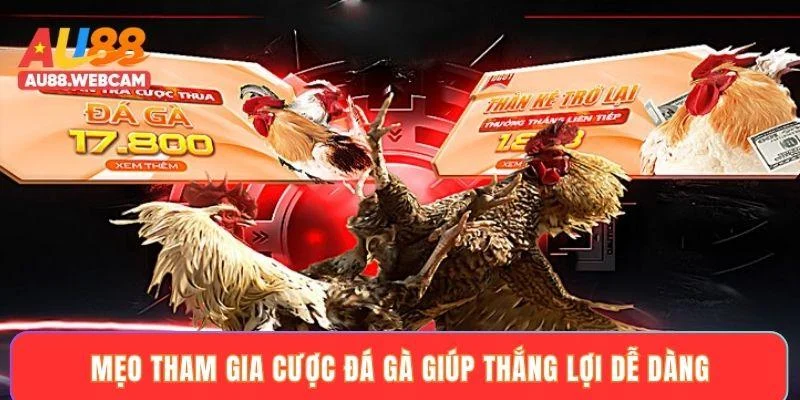 Mẹo tham gia cược đá gà giúp thắng lợi dễ dàng