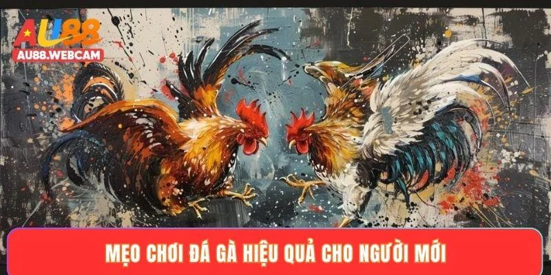 Mẹo cược đá gà trực tuyến luôn thắng từ cao thủ