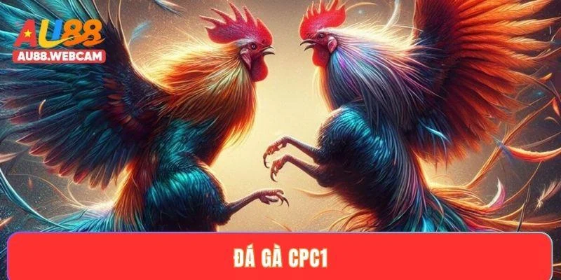 Đá gà CPC1 - Khám phá các giải đấu đẳng cấp và kịch tính 2025