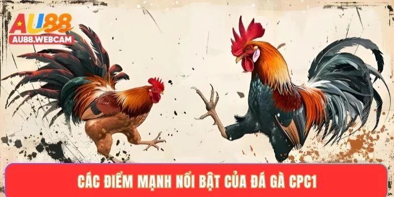 Các điểm mạnh nổi bật của đá gà CPC1